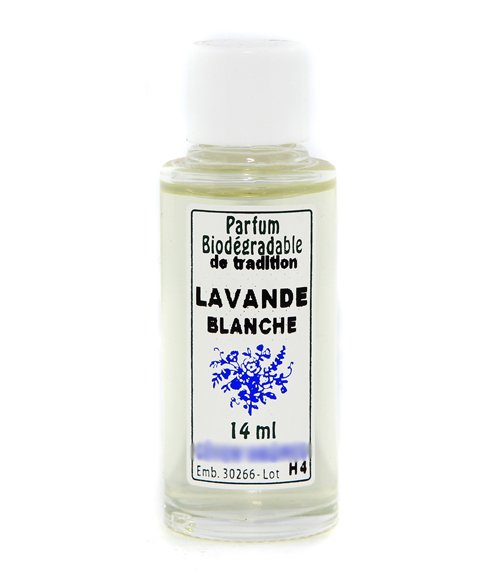 Huile tradition lavande blanche