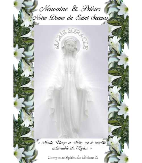 neuvaine notre dame du Saint Secours