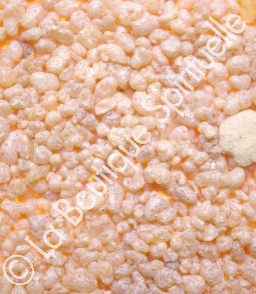 Encens bénit (grains 30 grs)