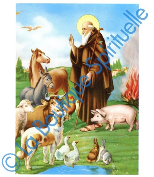 Saint Antoine Abbé