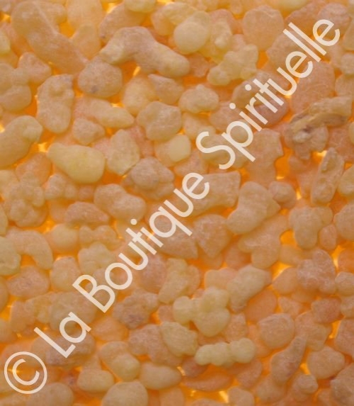 Encens larmes de soudan (grains 30g)