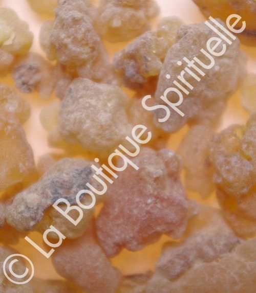 Encens tibétain (grains 30g)