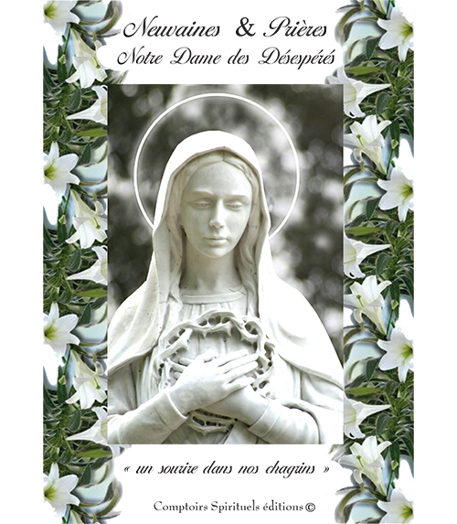 neuvaine notre dame des désespérés