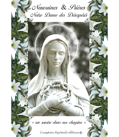 neuvaine notre dame des dsesprs