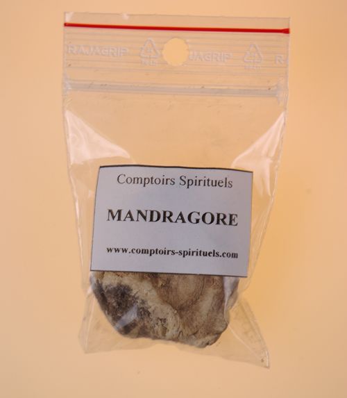 Racine de mandragore